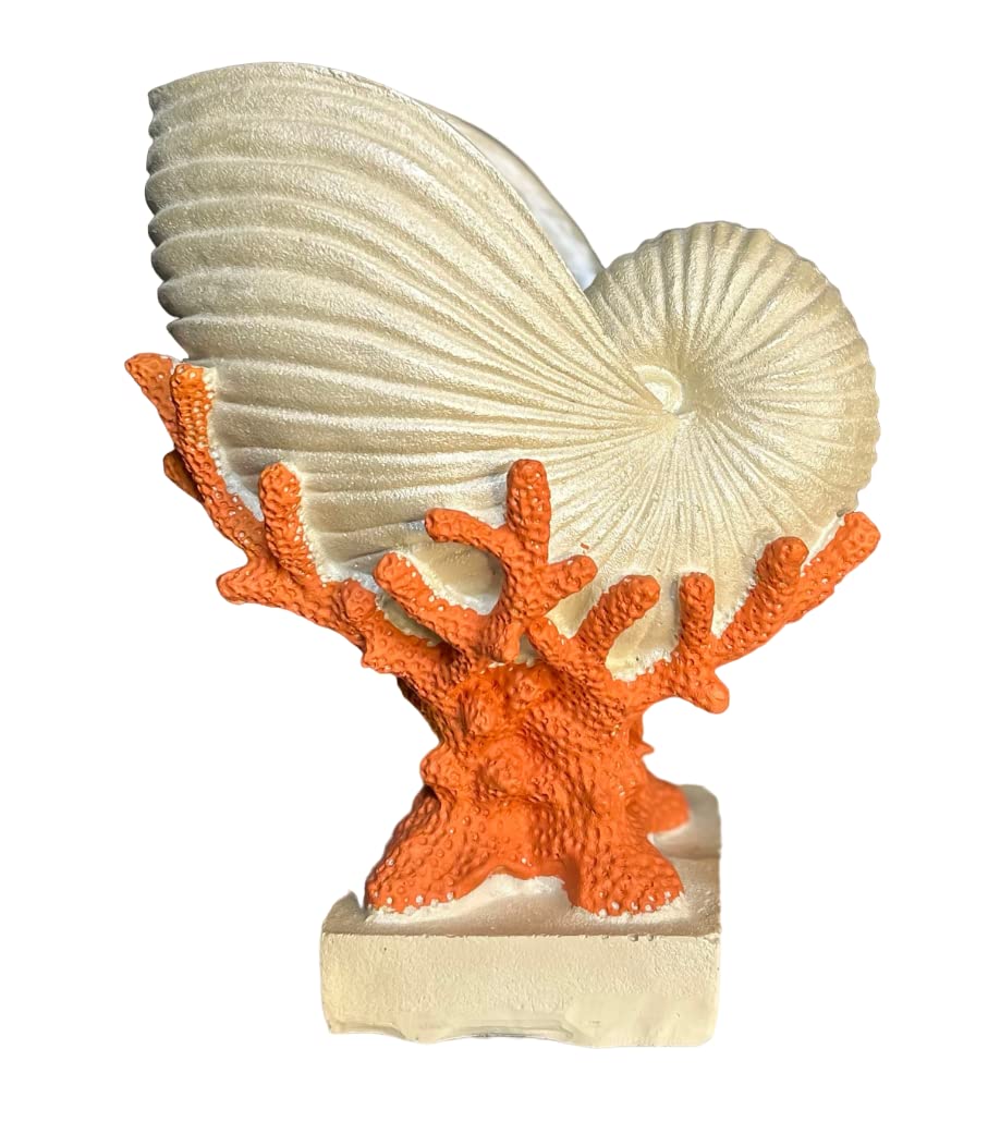 Shells by The Sea (Deko-Set, Meereswunder, handgefertigte Pflanzen, Umzugsgeschenk, Wohnkultur, farbige Skulptur) Designs – STB0012/13 (Muschel)
