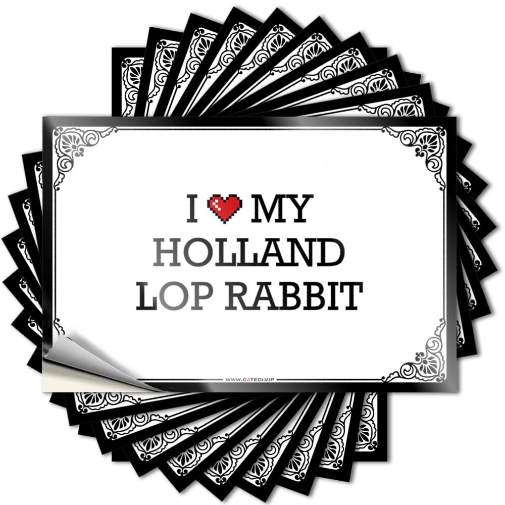 Sticker Hat Aesthetic I Love My Holland Lop Rabbit for Winter - Teen Boy Room Decor Easy Peel Removable(6X9CM)