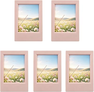 2x3 Picture Frames, Pink Cute Tabletop Tiny Photo Frame, 5 Pcs