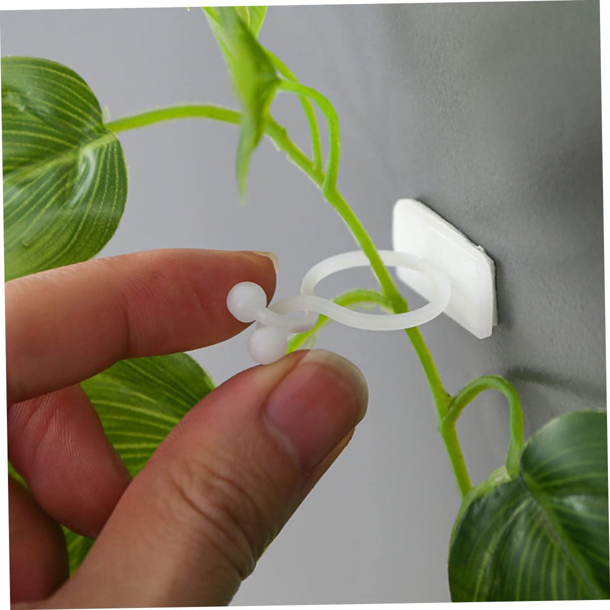 BESTonZON 4 Sätze Pflanzenclips Für Kletterpflanzen Pflanzenstützen Für Wandfixierung Wiederverwendbare Clips Für Innen Und Außenpflanzen Für Glatte Wände 100 Stück * 4
