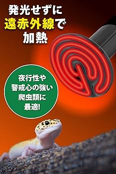 爬虫類保温器具 まとめ売り 楽天市場】レップジャパン 暖突 (だんとつ) Sサイズ 爬虫類用品