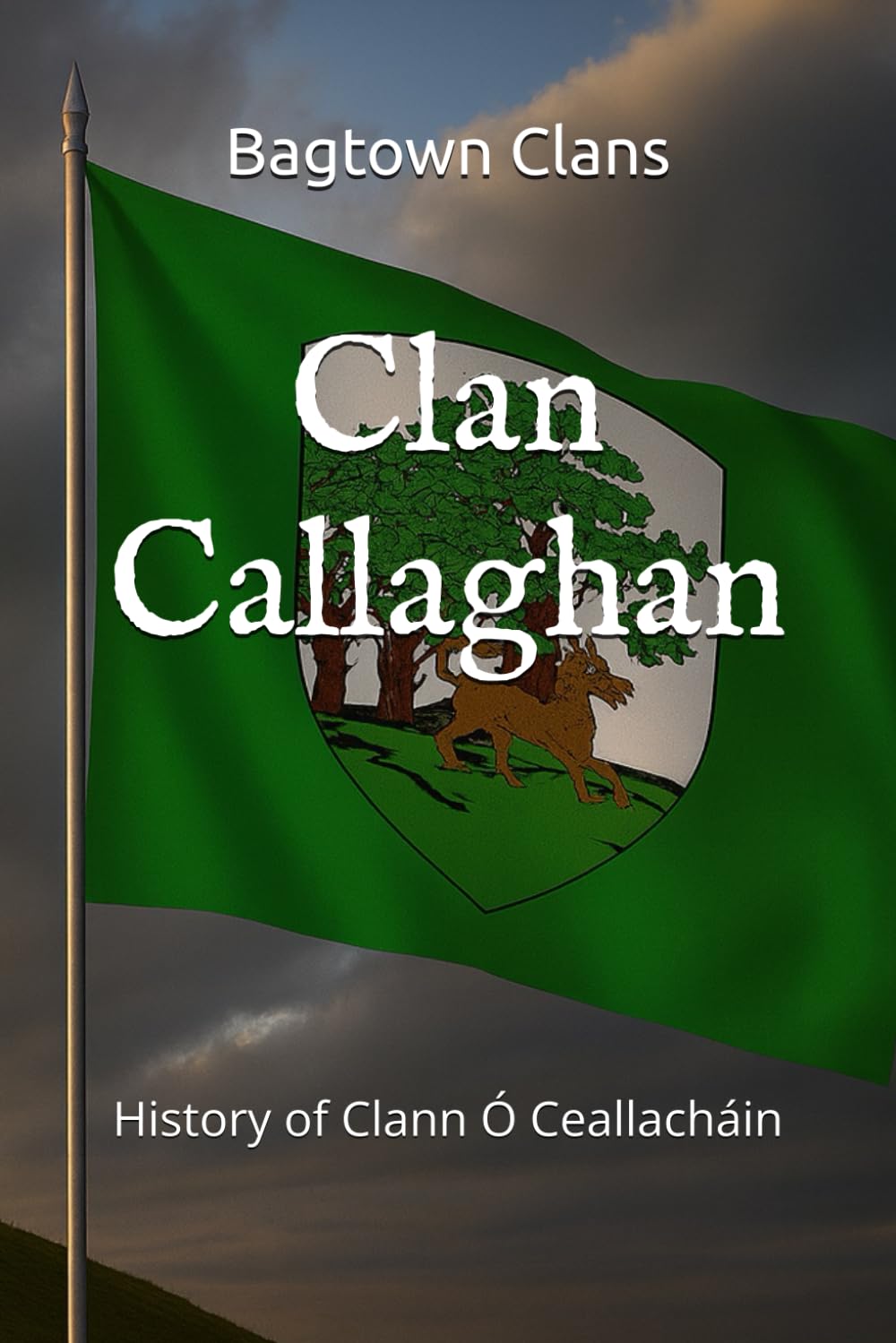 Clan Callaghan: History of Clann Ó Ceallacháin (The Irish Clans)