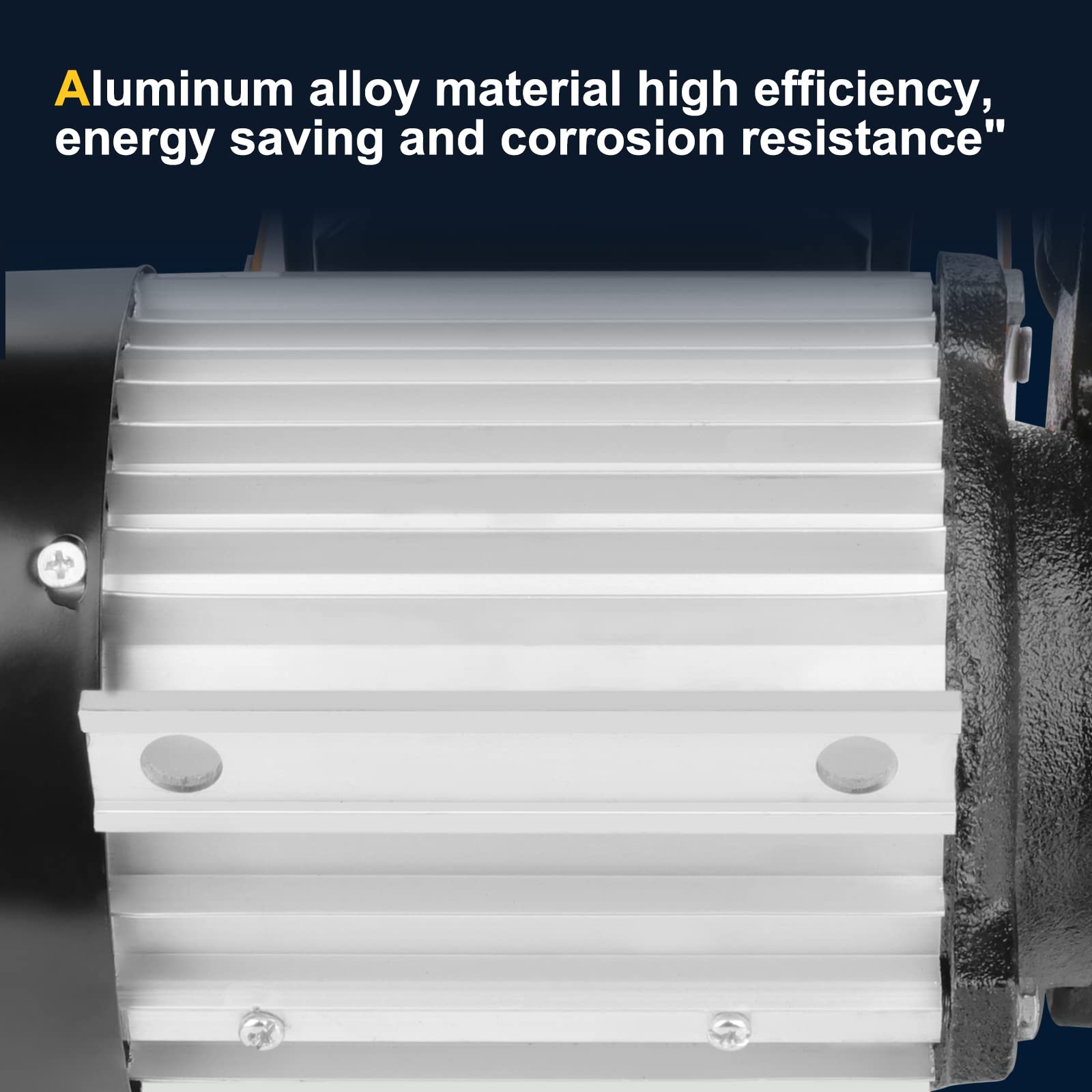 Cuilvu 110V 550W Transfer Pump, Portable Self-Priming Diesel Transfer Pump, Diesel Standard Electric Fluid Oil Diesel Pump 20-60L/Min Oil Change Extractor Pump Kit