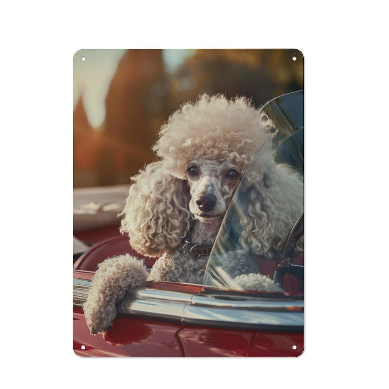 Junmoney Poodle Cabriolet Car Sun For Café Or Restaurant, Vintage Metal Sign 40X30cm, For Vintage Wall Decor Fans, For Cafés, Pubs And Restaurants
