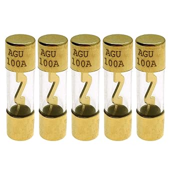 YoiilnzPack of 5 Pcs AGU 100A Gold Standard Glass Fuses 100Amp Car Stereo Fuses