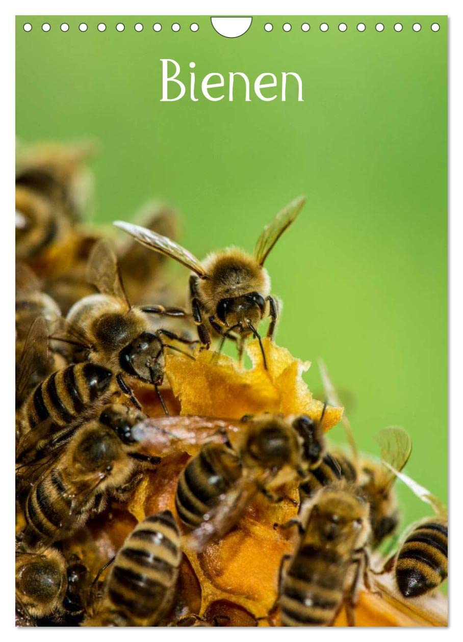 Bienen (Wall Calendar 2024 DIN A4 Portrait), CALVENDO 12 Month Wall Calendar