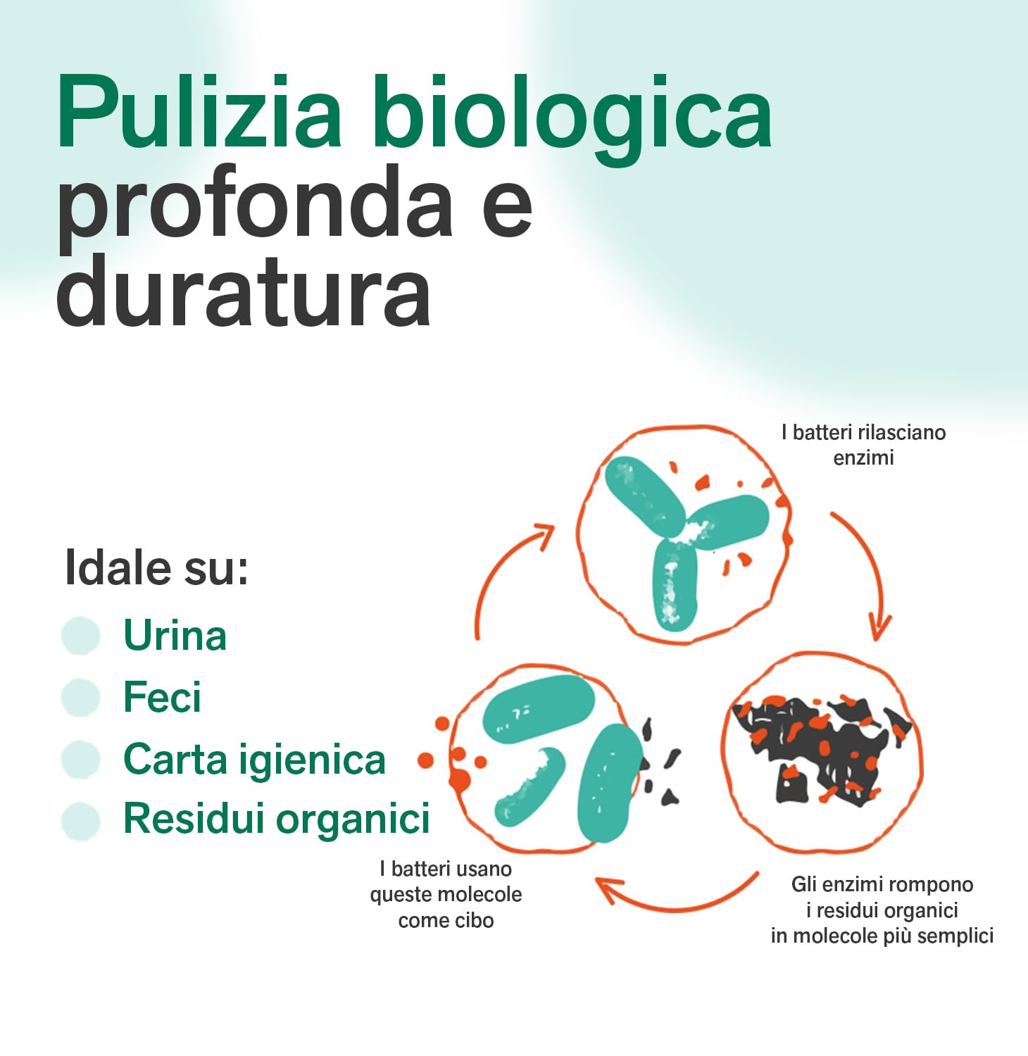 BactPro BactOut Additivo elimina odori per serbatoi acque nere e grigie 1L tappo dosatore