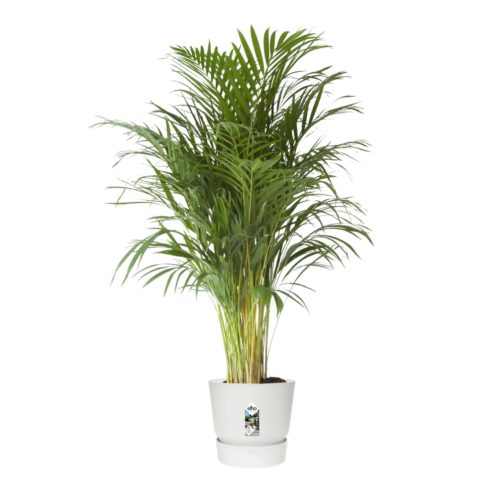 Elho Greenville Round 40cm Maceta - White | ∅ 39 x 36.8 cm | Platillo integrado | Macetero por Exterior | Plástico 100% reciclado
