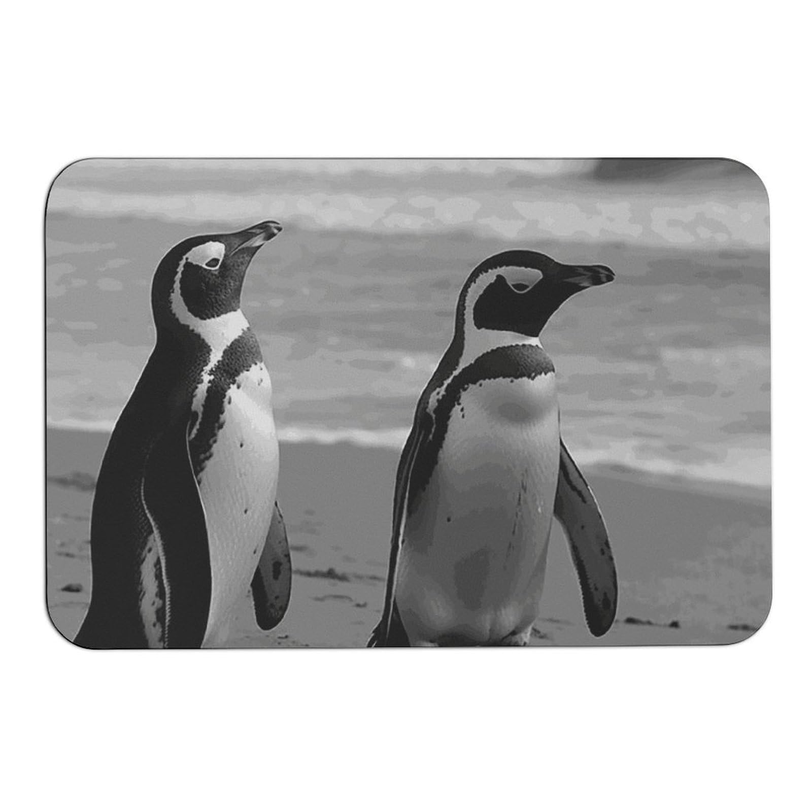Tapis absorbant l'eau et anti-glisse en boue de diatomée à séchage rapide pour entrée et bain