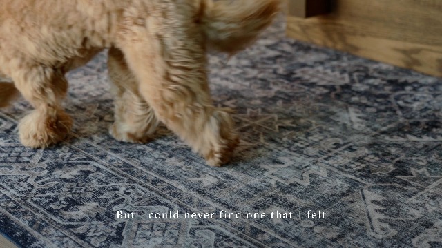 米国LP社-プロ・パーカッショニストJembe１オリジナル皮、 米国LP社-プロ・パーカッショニストJembe1オリジナル皮、