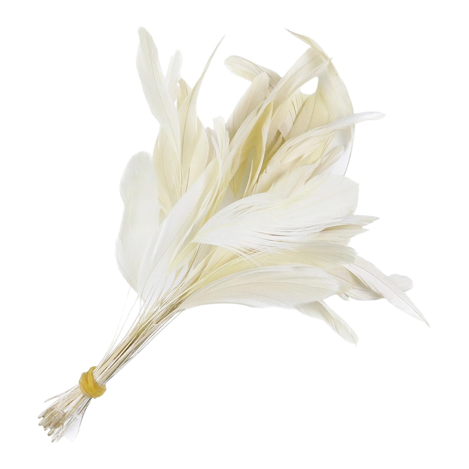 NMFLAB 50Pcs Colorful Craft Quills 4-6Inch Natural Craft Quills for Costume Making Home Decoration and Sewing Embellishment