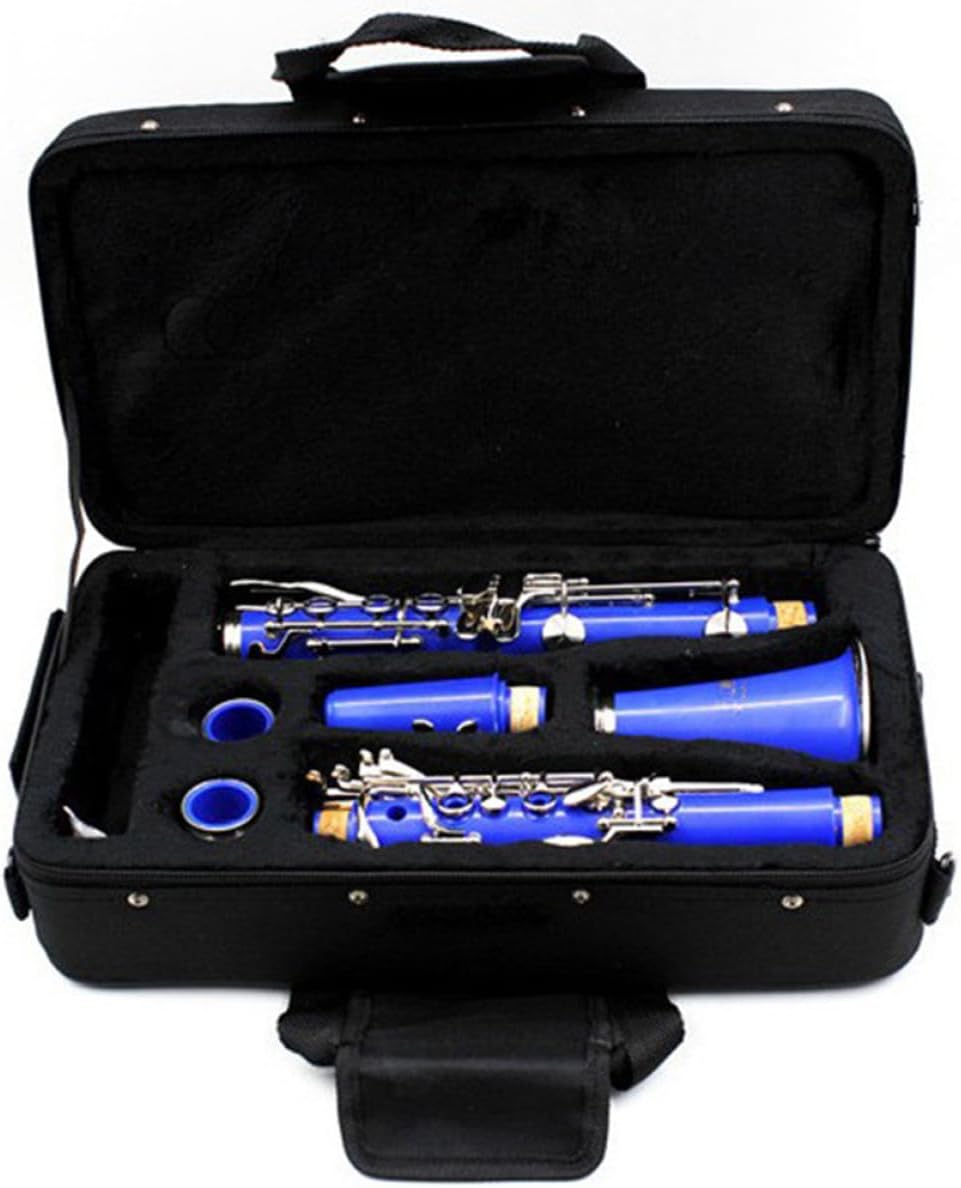 ERINGOGO Black Clarinet Carrying Case Oxford Cloth Clarinet Storage Box with Shoulder Strap and Hand Carry, Portable Wind Instrument Accessory Bag for Musicians