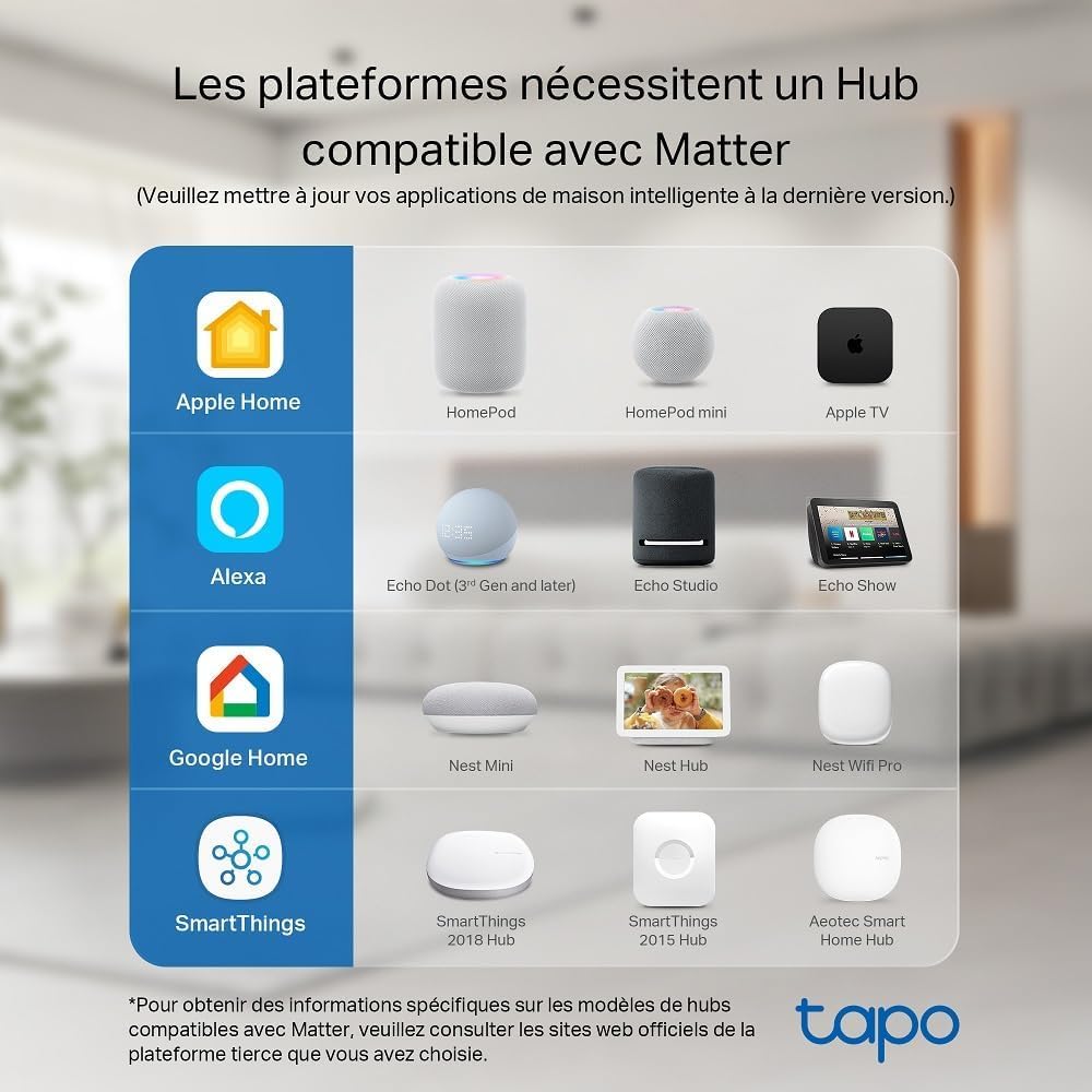 Tapo P110M Prise Connectée WiFi 16A Type E Suivi Consommation Compatible Alexa Google Home SmartThings 2-pack