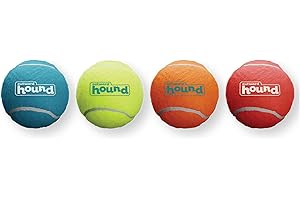 Outward Hound Squeaker Ballz Fetch Dog Toy for Small Breeds