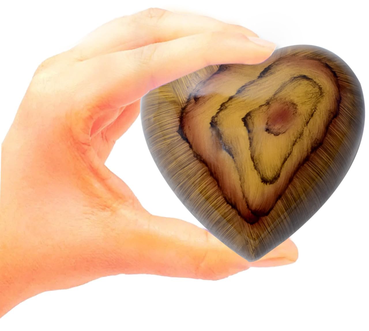 Bold & Divine Urna de recuerdo de madera de raíz de teca, mini urna de cremación de corazón con soporte y caja premium, pequeña urna de recuerdo, honra a tu ser querido con forma de corazón de urna,
