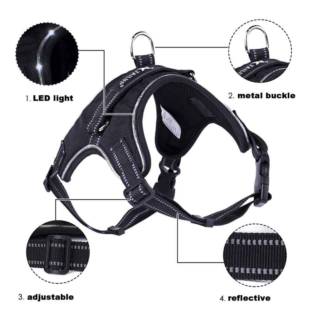 Haustier LED Kabelbaum für Haustier Hund Schwanz Nylon LED blinken Hund Kabelgeschirr Halsband Haustier Sicherheitsgurt Leine Hundezubehör M Grün