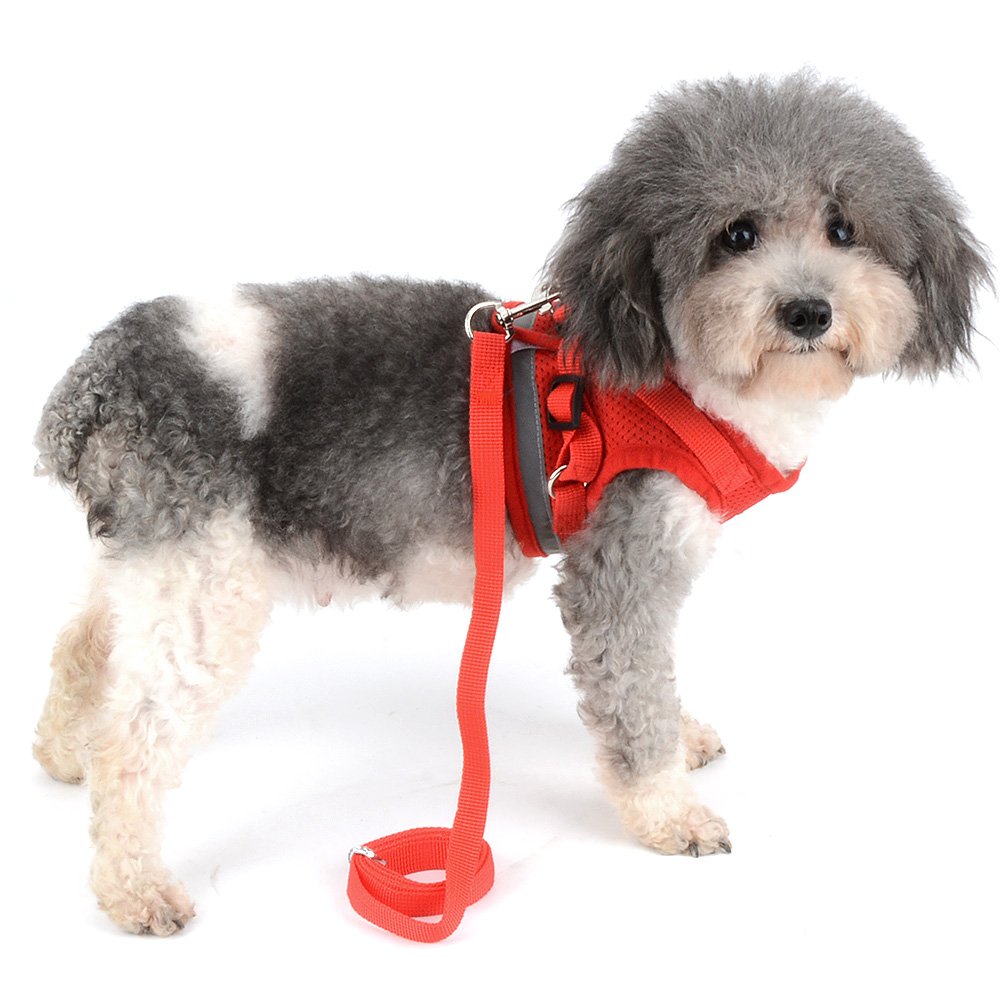 Amazon | RANPHY メッシュ 犬用 ハーネス 胴輪 反射材料付き リード