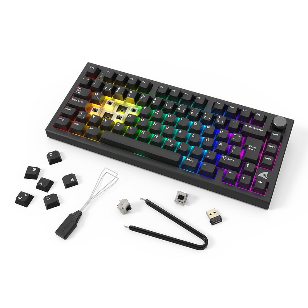 Sharkoon Skiller SGK55W, Kabellose Gaming Tastatur