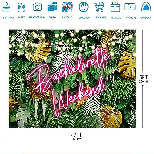 Fondo fotográfico Ticuenicoa 7x5 ft multicolor miniatura 3