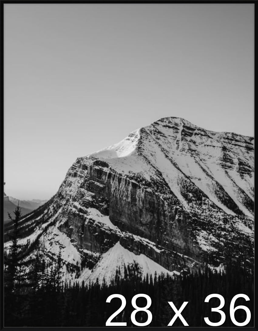 Frame It Easy 28 x 36 Gloss Black Metal Frame (Ashford)