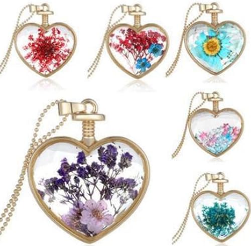 Miniatura 8 de 24 flores secas y secas de piel real con espuela de alondra, flores prensadas y rosas