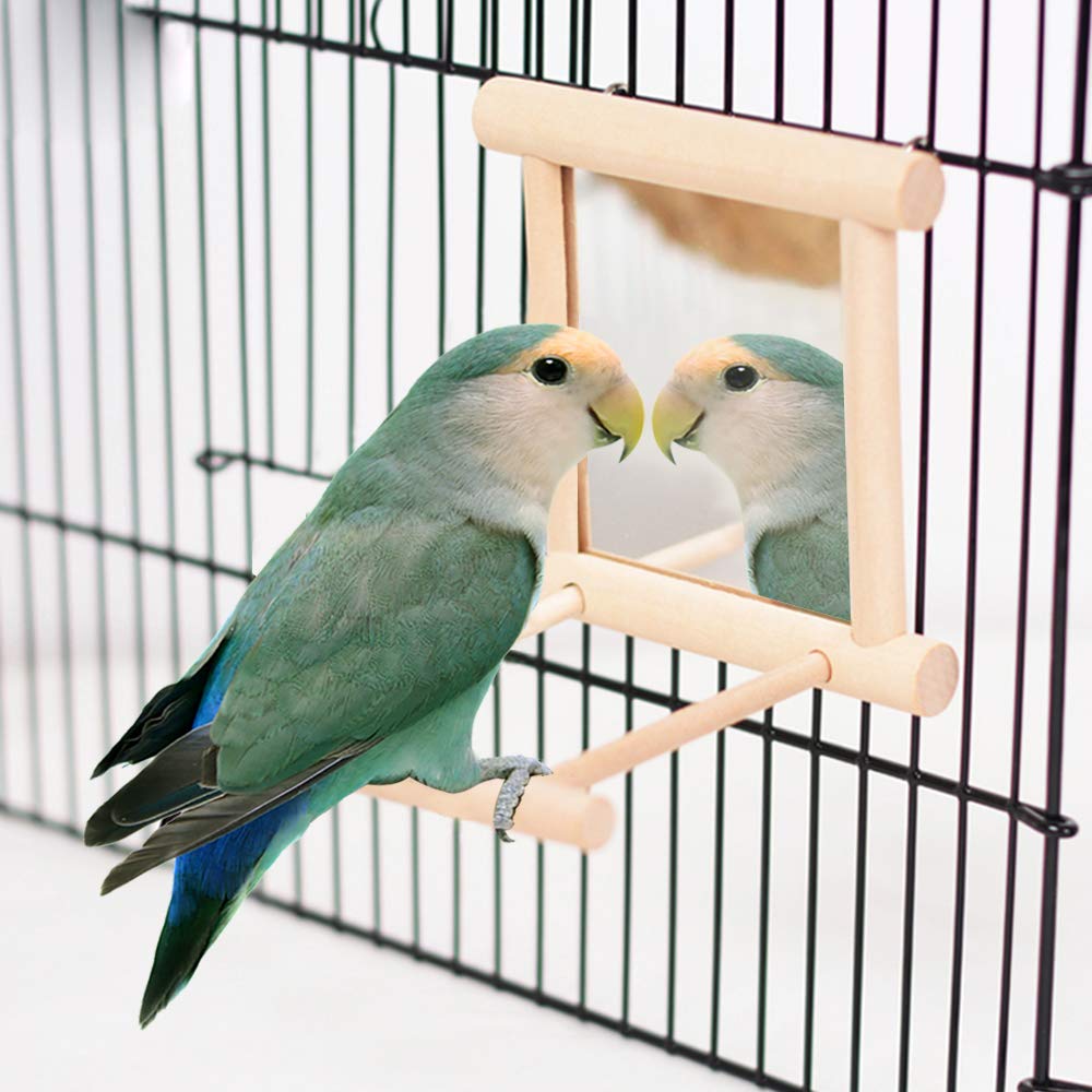 HANZE - Specchio a Forma di Uccello con Altalena a Forma di Colibrì, posatoi per pappagalli, Altalena, Giocattolo in Legno, per Ara, cacatua, parrocchetto, fringuello, 3.9 x 3.9 x 3.9 Inches, 2 Pack