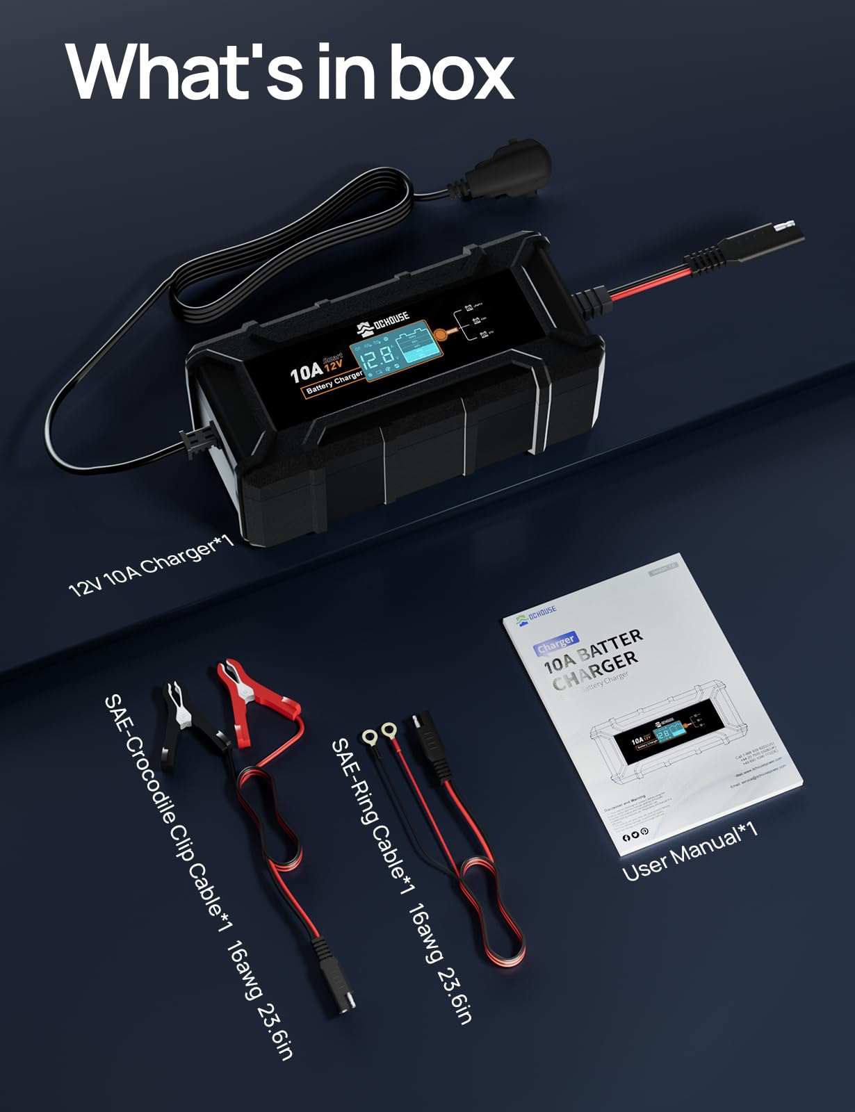 DCHOUSE Batteria LiFePO4 12V 100Ah con Bluetooth e Caricabatterie 10A, BMS 100A, Protezione da Bassa Temperatura, fino a 15000 Cicli, per Camper, Campeggio e Sistemi Solari