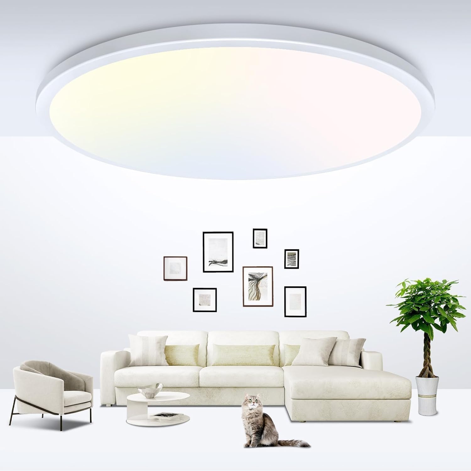 Photo 1 of **missing assembly hardware*** zemty 23 Inch LED Flush Mount Ceiling Light, Super Slim 56W 5040lm LED Ceiling Light, 3 Color Temperature in One 3000k/4500k/6000K Round Light Fixture for Bedroom, Kitchen, Dining Room (White)