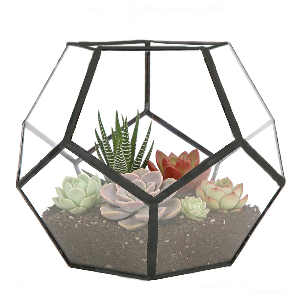 Terrarium géométrique en verre transparent pour décorer la table du salon