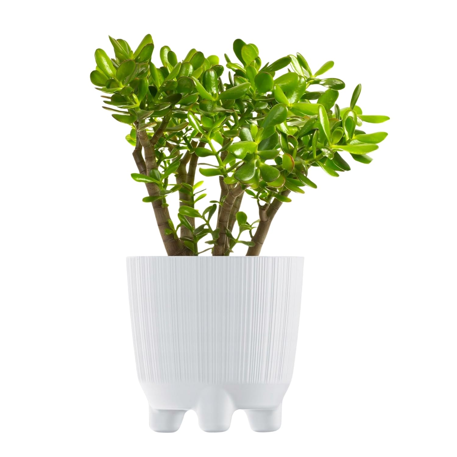 B2C Plant Pots Indoor Outdoor Plastic Flowerpot Small Medium Large RYFO 6 Colours (White, 17cm)