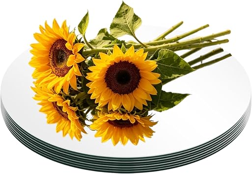 9PCS Round Mirrors for Centerpieces10inch Circle Mirrors Candle Plates Mirror Trays for Flowers Wedding Christmas Valentines Table Centerpieces Decorations, Crafts