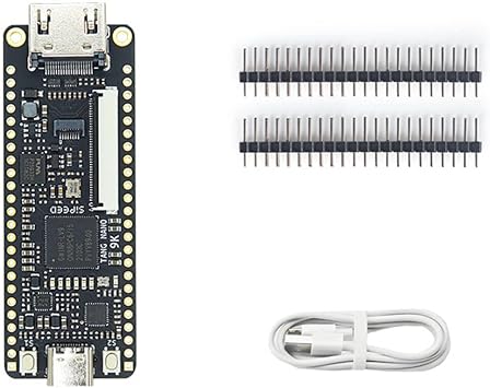 Tang Nano 9K FPGA Development Board GOWIN GW1NR-9 RISC-V -Compatible, Black, 500289270