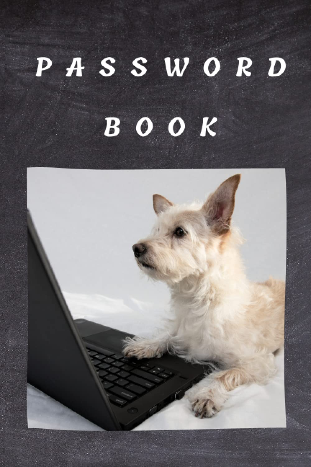 Password Book: Internet Password Organizer, Password Journal, Alphabetical Tabs, Logbook