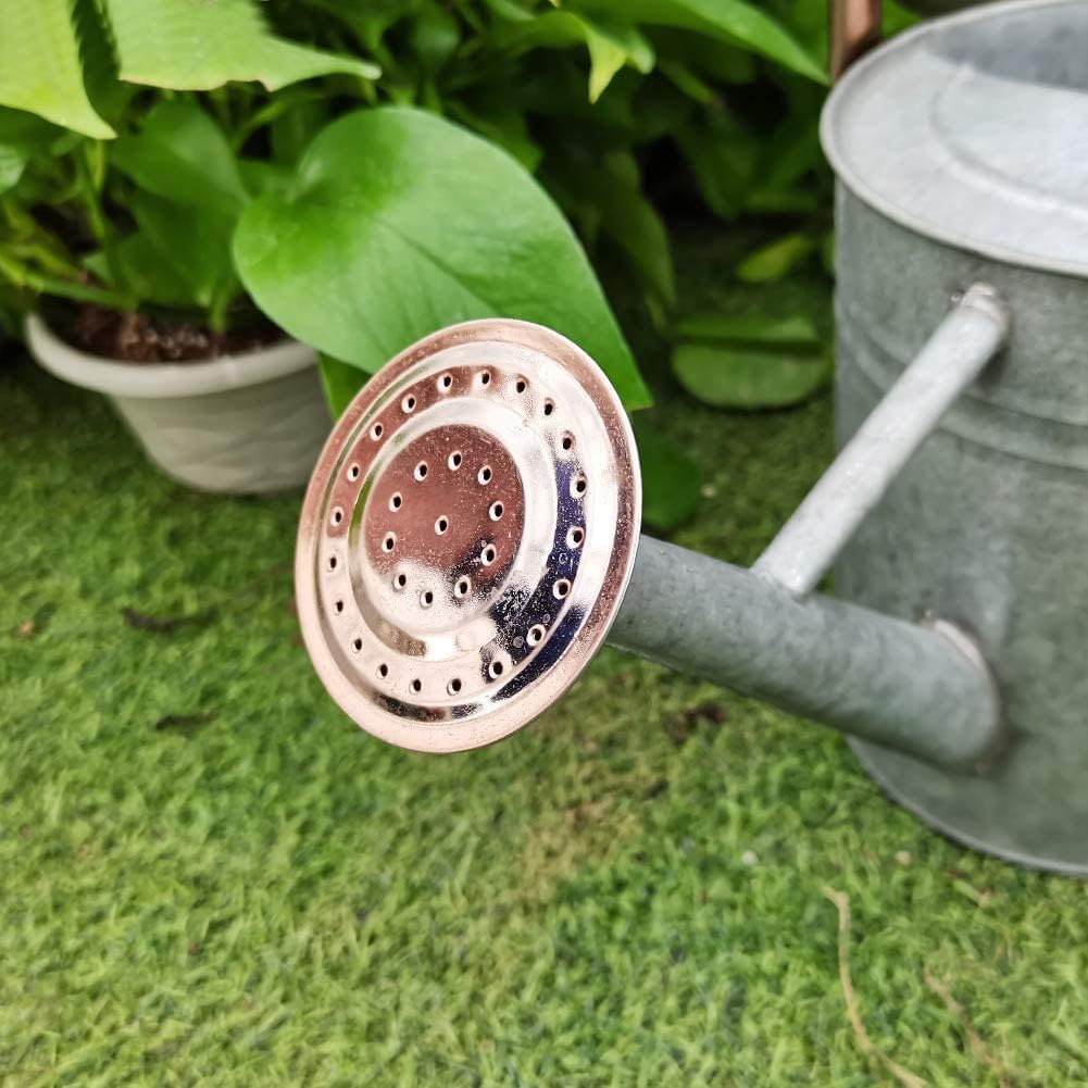 yourjoy Steel Watering Can Sliver Galvanized Steel Watering Can with Copper Accents,Removable Rosette-Diffuser,One-Gallon : Patio, Lawn & Garden