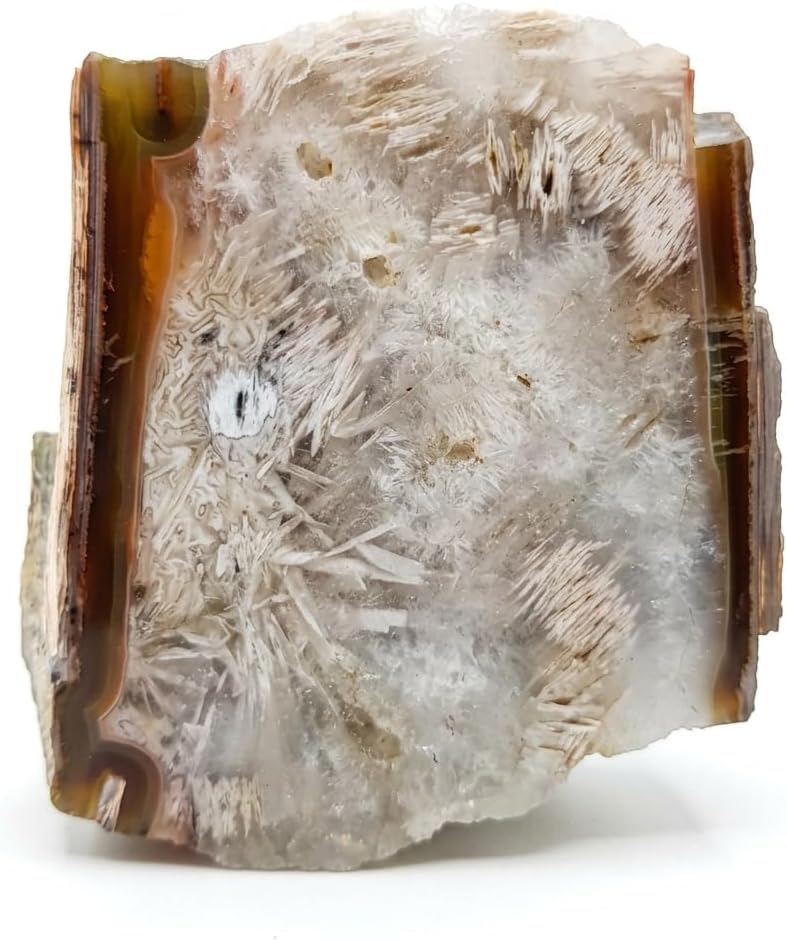 Druzy Petrified Wood: Colorful Agatized Stone, Turkey Sourced
