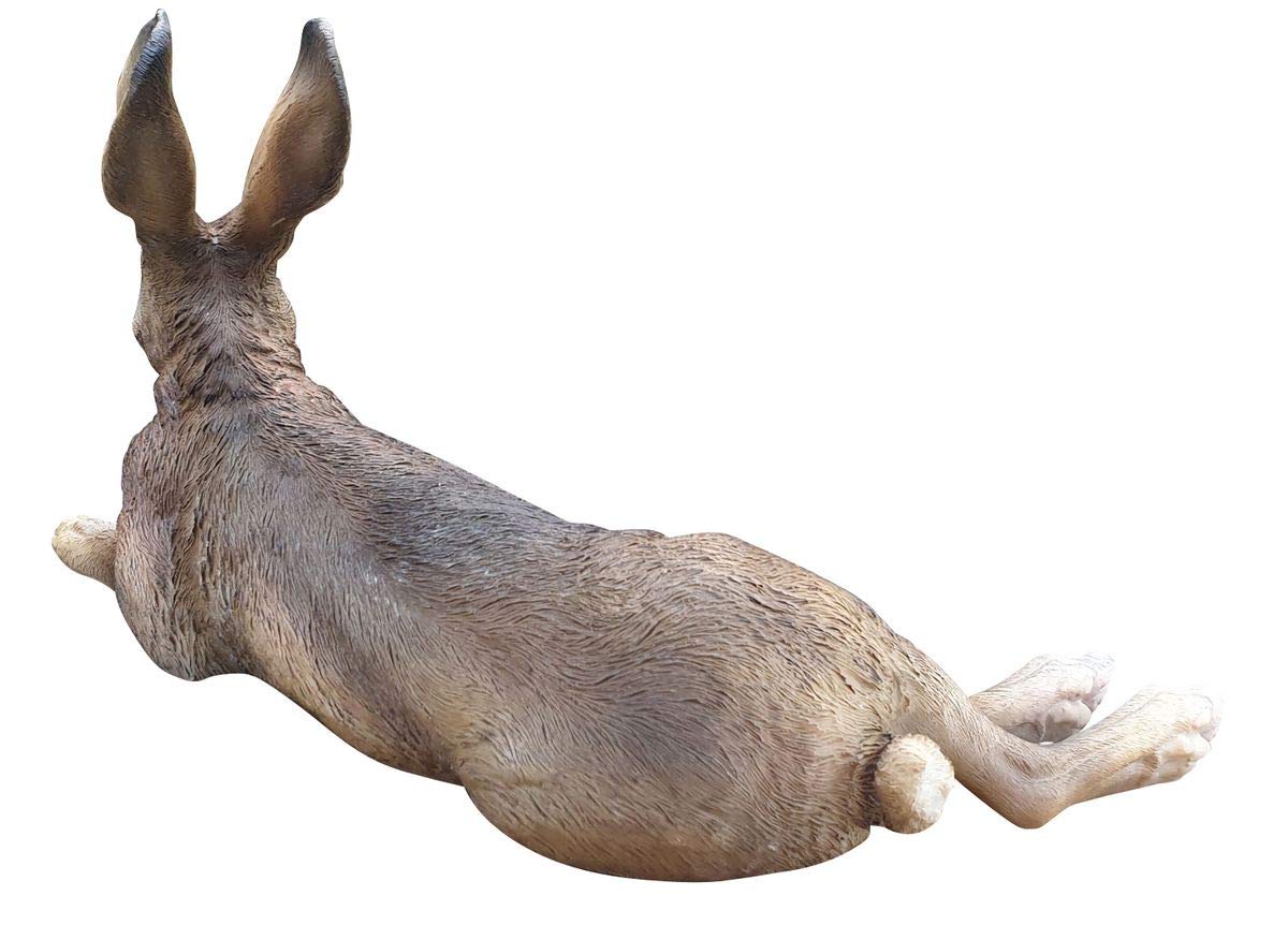 Arnusa Lebensgrote konijnenfiguur XXL, realistische tuinfiguur, haas (51 cm), weerbestendige paasdecoratie voor tuin en terras, natuurgetrouwe veldhaas van polyhars