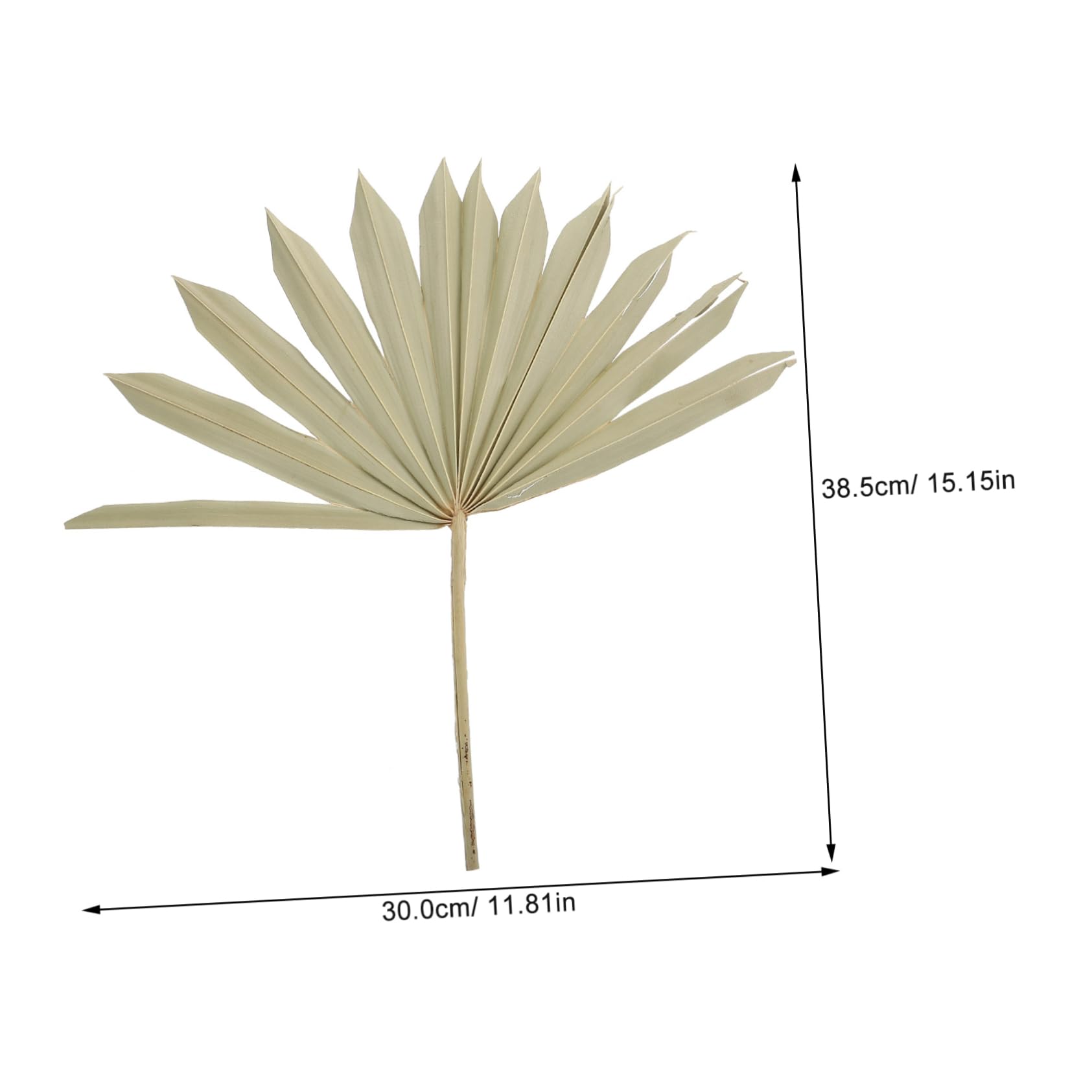 Alipis 4pièces Décoration De Fleurs Séchées De Palmier Arrangement Floral Ornement Naturel pour Maison pour Événements Et Fêtes