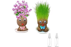 2Pcs Grass Head Doll Plant Bonsai Growing Kit: Cultivate Your Own Green Pals