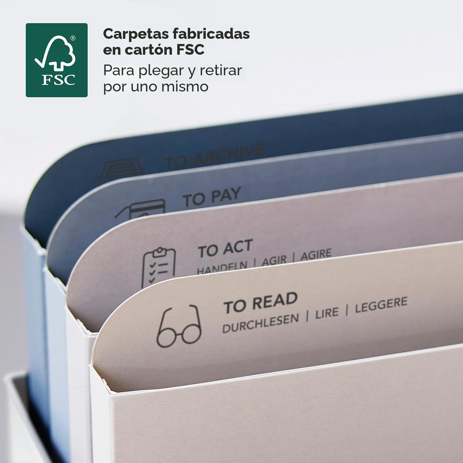 Rotho MyPaper - Organizador de documentos My Paper Plus, plástico (PP) sin BPA, blanco, (36,4 x 16,8 x 31,7 cm)
