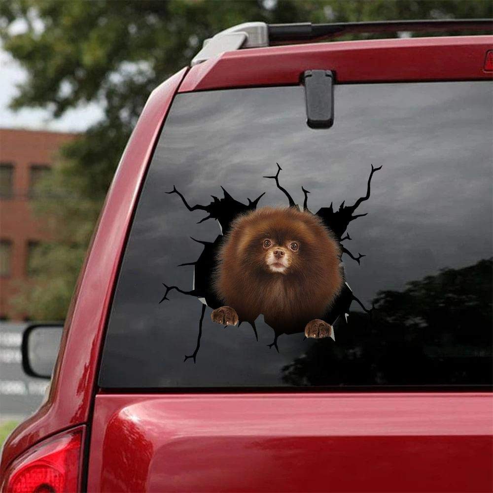 Ocean Gift Pomeranian Car Decals, Wall Decals Stickers Pack Of 2 - Realistic Car...
