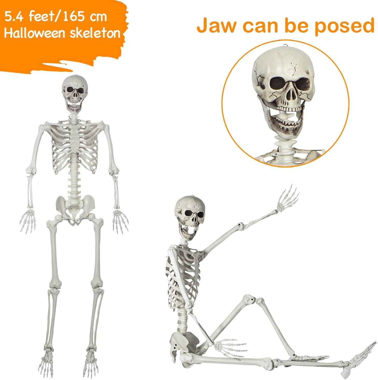 165 cm Halloween Taille réelle Squelette Corps Entier os avec articulations Amovibles Party Prop Horreur cimetière Maison hantée pelouse Cour décoration (165cm Updated)