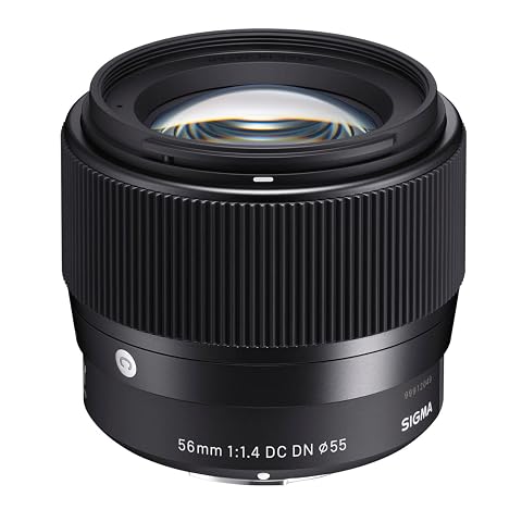 The Beginner’s Guide to Choosing a Sigma Sony E-Mount Lens