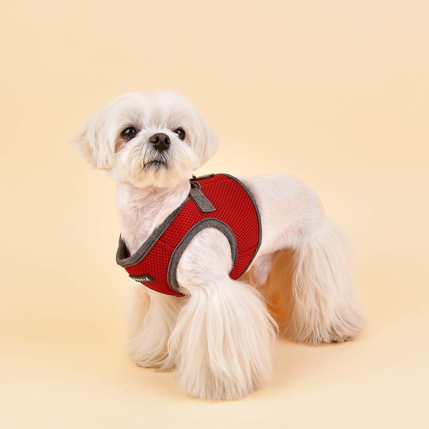 Puppia Soft Vest Dog Harness II and adjustable harness for small or medium dogs,Wine Red - Image 4