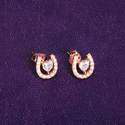 AKTAP Horseshoe Stud Earrings for Fashion Jewelry Crystal Cubic Zirconia Earrings4