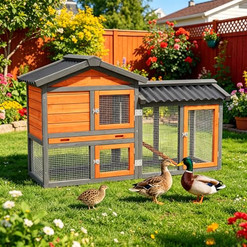 Temporary Isolation Coop for 1–2 Birds