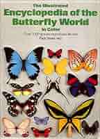 The International Butterfly Book 英語版 初版本 419XfpJyKCL._AC_SY200_QL15_.jpg