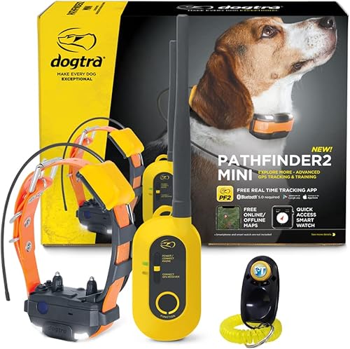 Dogtra Pathfinder 2 Mini - Collar de entrenamiento de caza de perros con control remoto, recargable para perros pequeños, medianos y grandes, collar