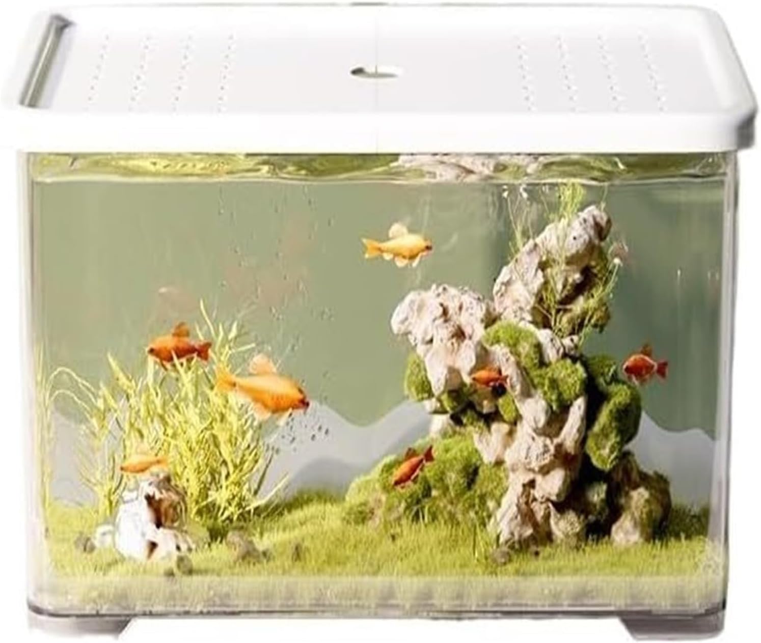 Fish Tank, Fish Bowl, Fish Bowl Small Living Room Desktop Fish Tank with Lid