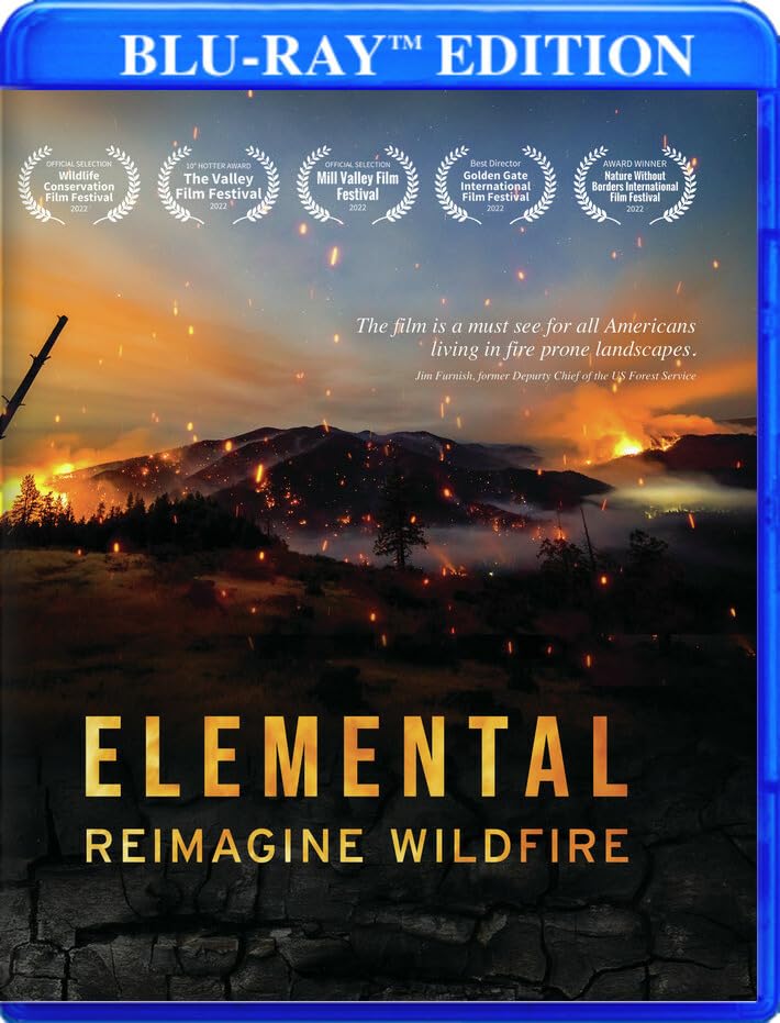 Elemental Blu-ray edicion USA el gran exito de Disney Pixar en alta definicion