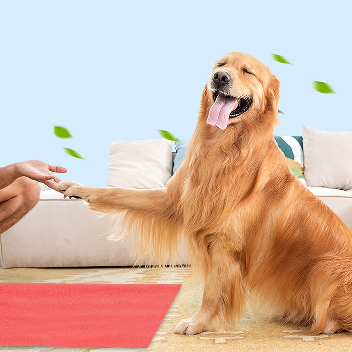 Trance Waterproof Pet Training Pads | Reusable Pee Pad for Dogs Cats Puppy and Pets | Washable Pet Dry Sheet | Potty Trainer | Soft and Hypo-Allergenic (Large, Size 1.4 x 1 m | 140 x 100 Cms, Coral) 2